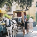 f1010001.3